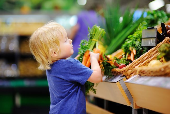 The Crucial Brain Foods Every Child Needs for a Strong Start