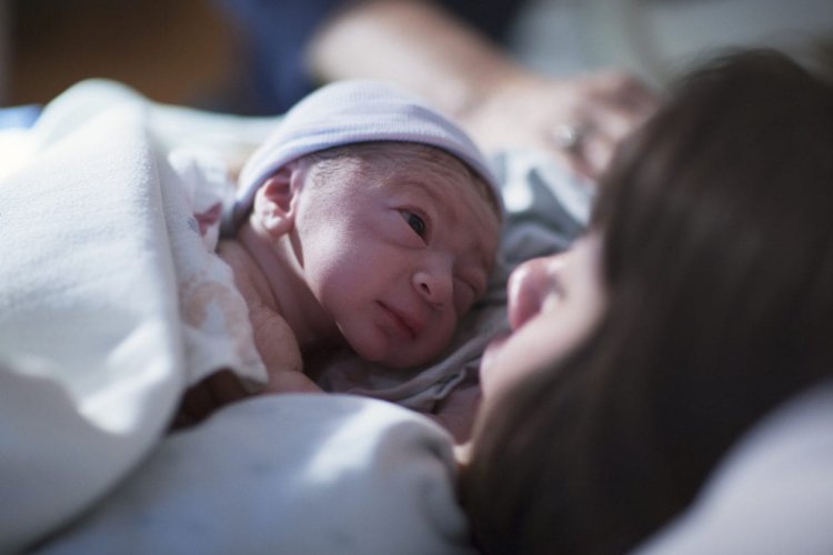 The Beautiful Chaos of Pregnancy: A Mother’s Journey from Bump to Baby